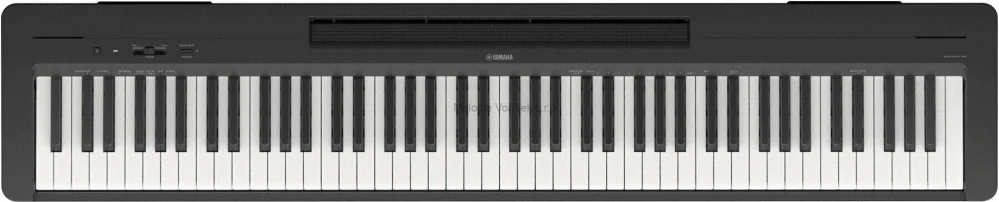 YAMAHA P 145 BT