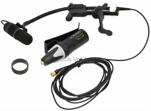 DPA d:vote Core 4099