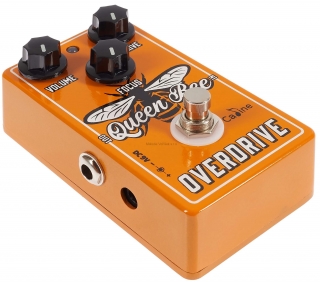 CALINE QUEEN BEE OVERDRIVE