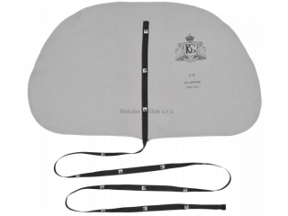BG SWAB A30