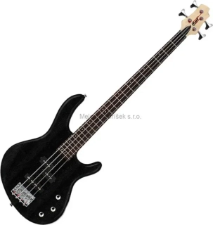 CORT ACTION PJ OPB