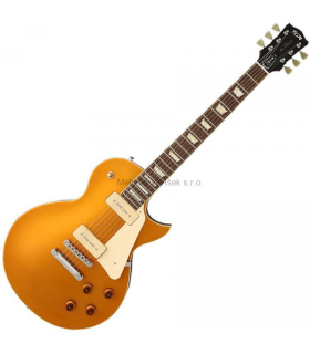 FGN NCLS-10RP